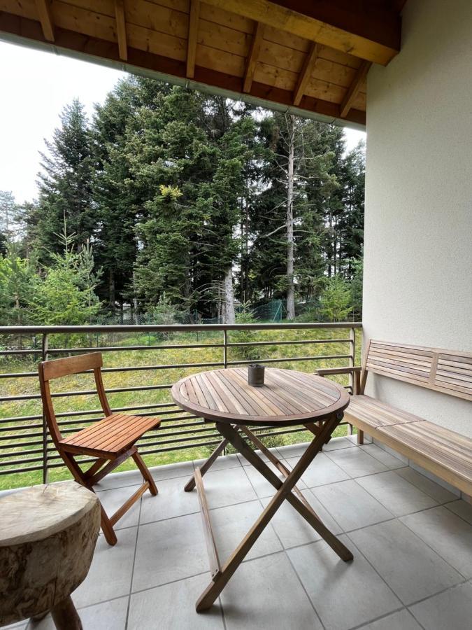 Апартаменты "Les Oiseaux" Avec Terrasse, Parking, Duplex Шамбон-сюр-Линьон Экстерьер фото